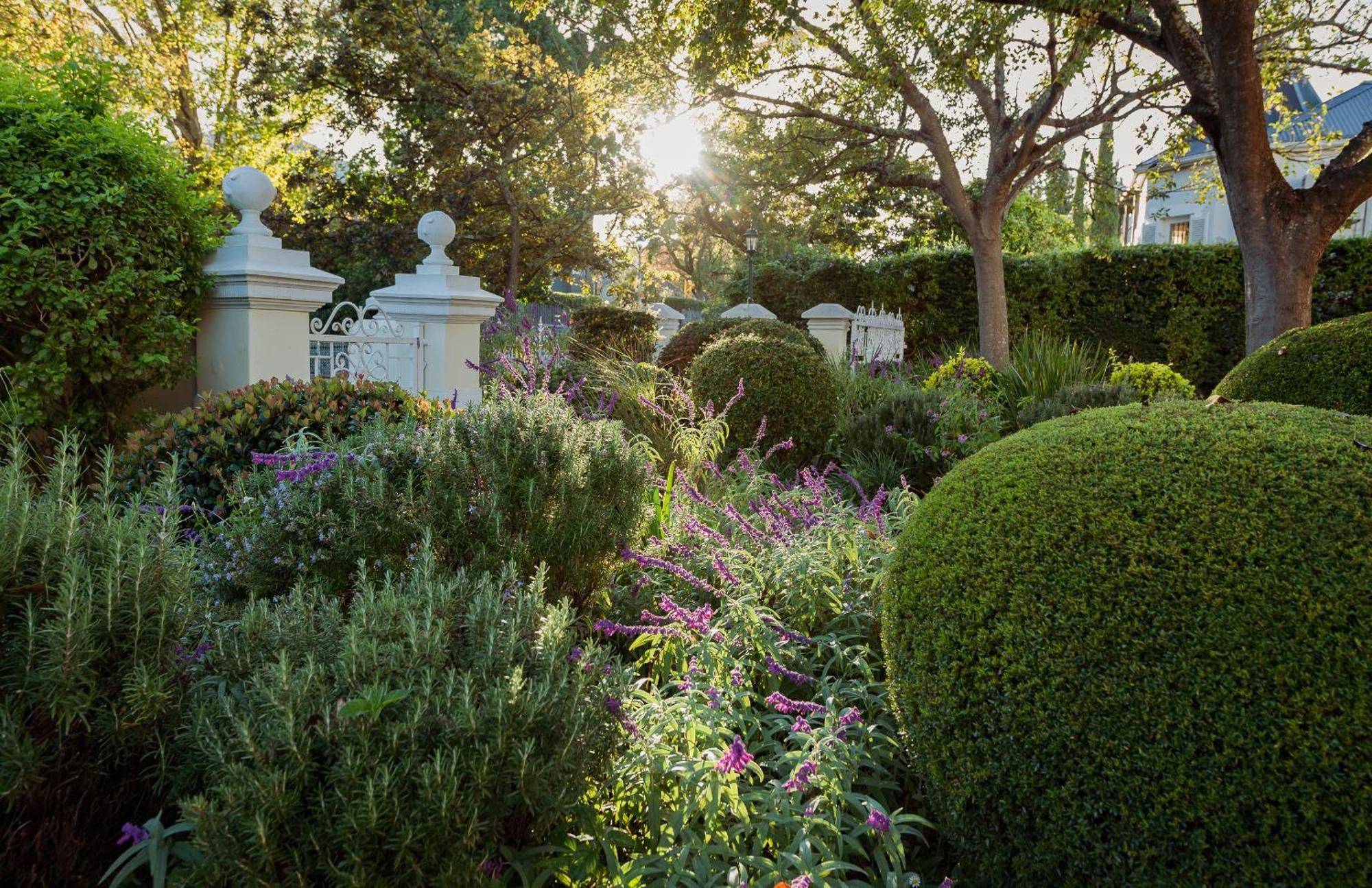 Bonne Esperance Boutique Guest House Stellenbosch Bagian luar foto